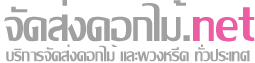 จัดส่งดอกไม้.net