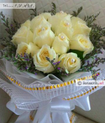 จัดส่ง  จ.กระบี่