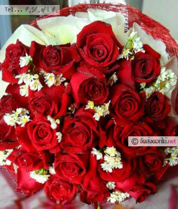 จัดส่ง  จ.กาฬสินธุ์