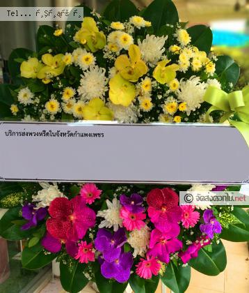 จัดส่ง  จ.กำแพงเพชร