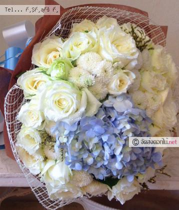 จัดส่ง  จ.ตาก