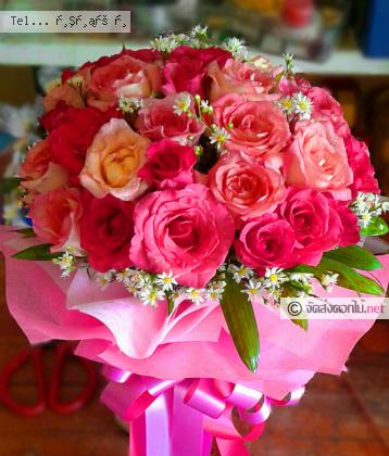 จัดส่ง  จ.เพชรบูรณ์