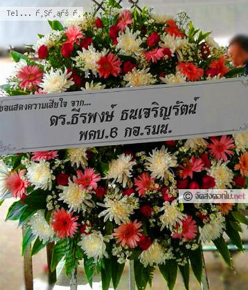 จัดส่ง  จ.ร้อยเอ็ด