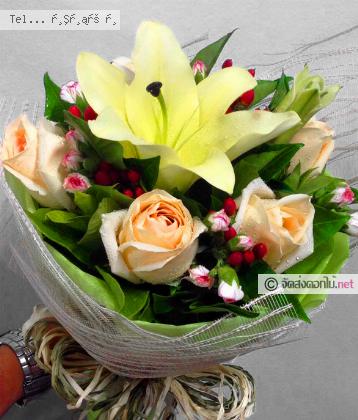 จัดส่ง  จ.สงขลา