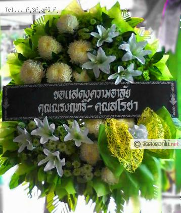 จัดส่ง  จ.สตูล